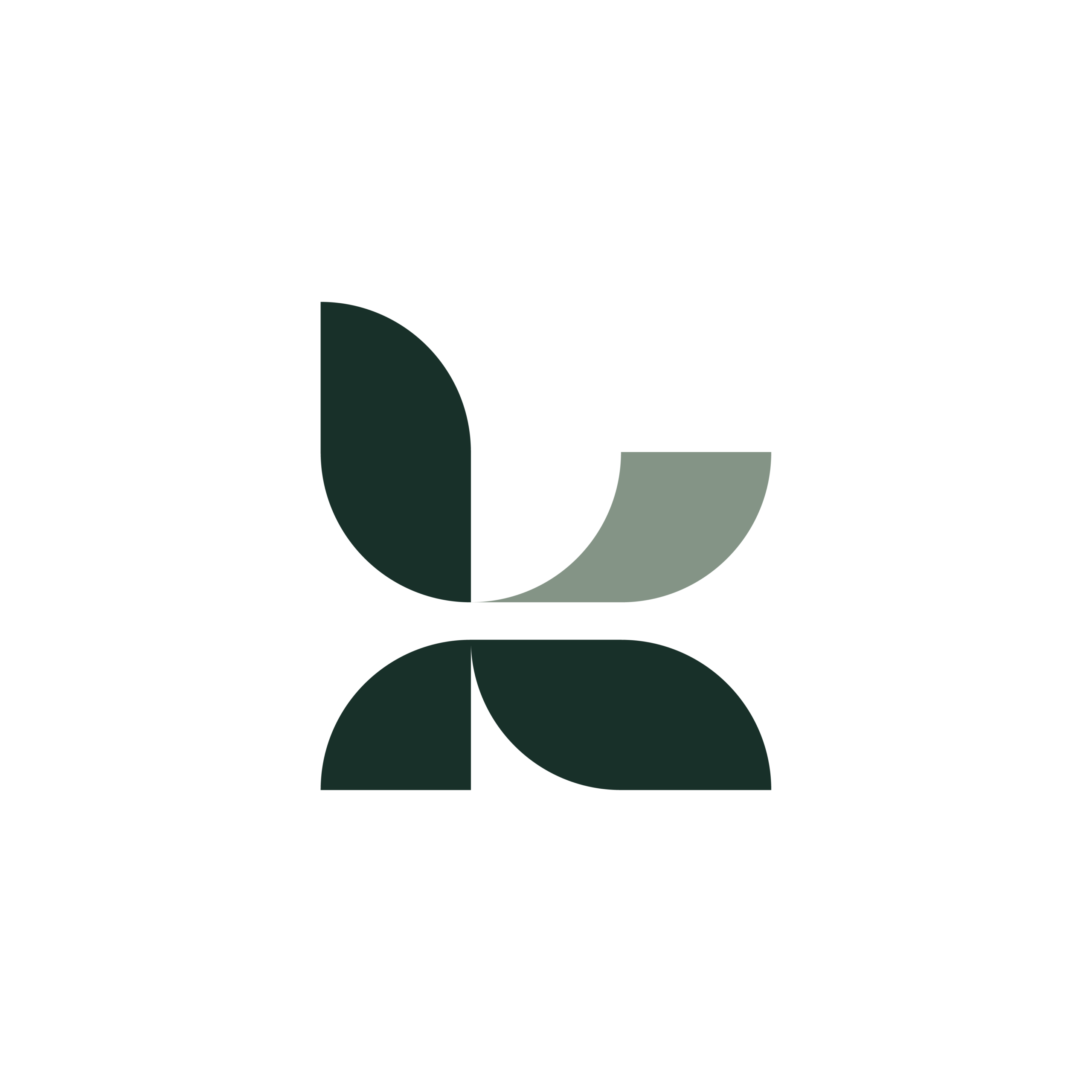 knelo studio